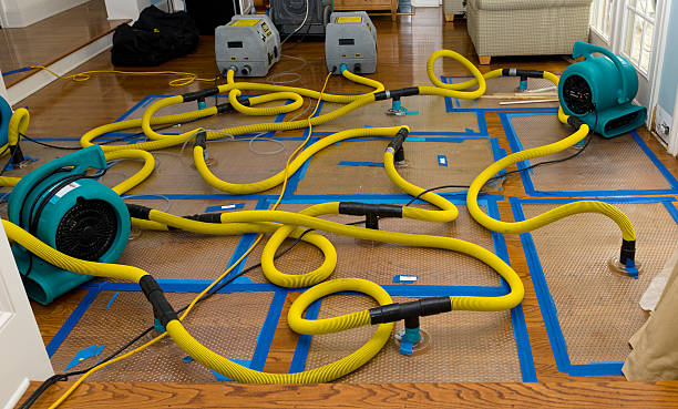 Professional Crawl Space Water Removal technician working in Portland, OH